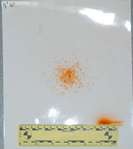 Chemically processed paper showing spread of firearm residues as orange spots