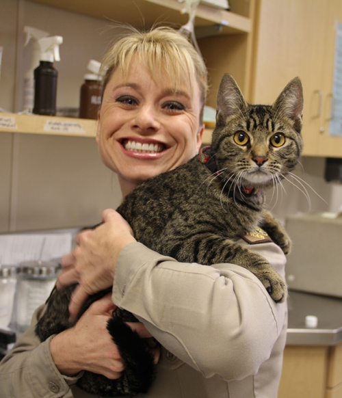 Sheriff's Animal Services Officer and Nevada Highway Patrol work